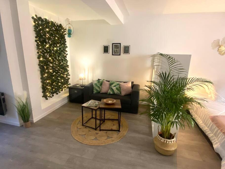 Studio Coeur De Ville Proche Bords De Loire ออร์เลออง ภายนอก รูปภาพ